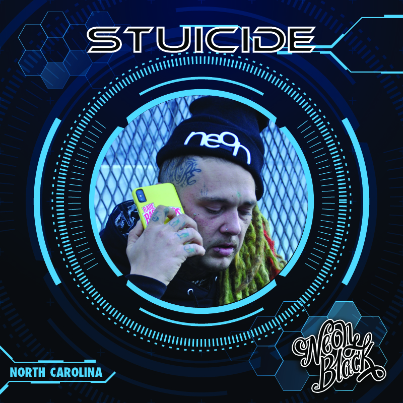 Stuicide